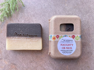 Naughty or Nice Soap